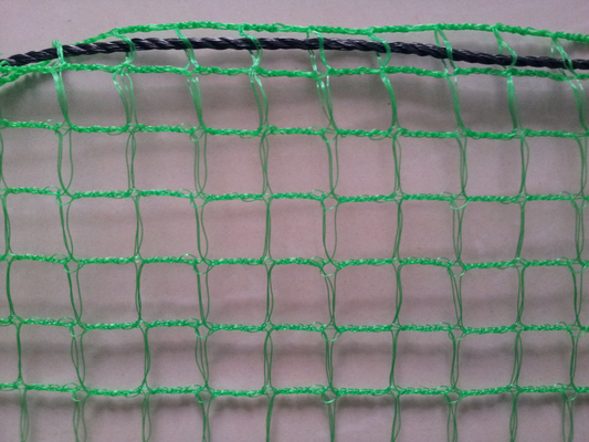 Hdpe πλαστική αλιεία με δίχτυα πουλιών μπαλκονιών αντι για τα οπωρωφόρα δέντρα κήπων μπαλκονιών γεωργίας