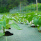 3m ευρύ Matting 3x 50 ζιζανίων βαθμού εξωραϊσμού βιομηχανικό για το φυτικό κήπο