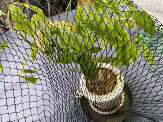 Αντι καλύψεις 15ft X 20ft προστασίας δικτύου λιμνών ψαριών Koi ερωδιών λιμνών Hdpe