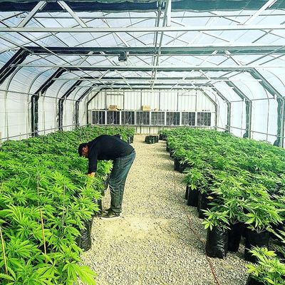 60% υπαίθρια αλιεία με δίχτυα σκιάς Patio πλαστική Agri για το φυτικό κήπο