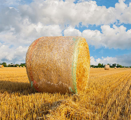 8.33GSM πλαστικό αντι UV περικαλυμμάτων δικτύου δεμάτων με τη γραμμή προειδοποίησης